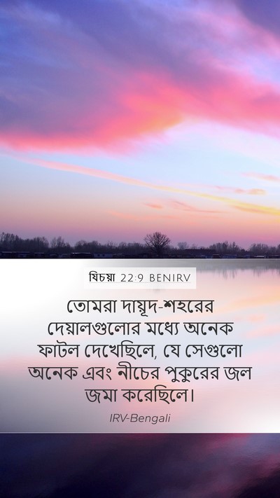 যিচয়া 22:9 BENIRV Bible Verse Image