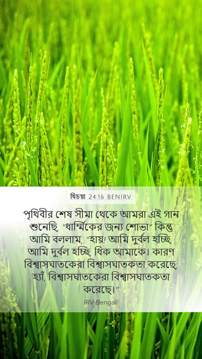 যিচয়া 24:16 BENIRV Bible Verse Image