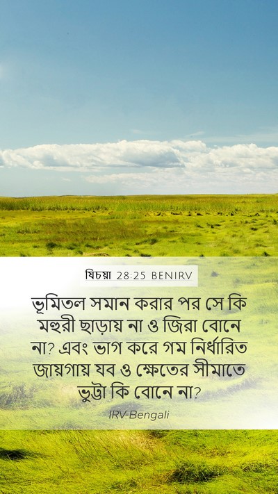 যিচয়া 28:25 BENIRV Mobile Phone Wallpaper - ভূমিতল সমান করার - Mobile Bible Verse Wallpaper