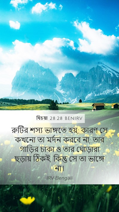 যিচয়া 28:28 BENIRV Mobile Phone Wallpaper - রুটির শস্য - Mobile Bible Verse Wallpaper