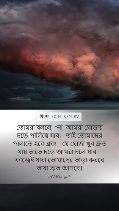 যিচয়া 30:16 BENIRV Bible Verse Image