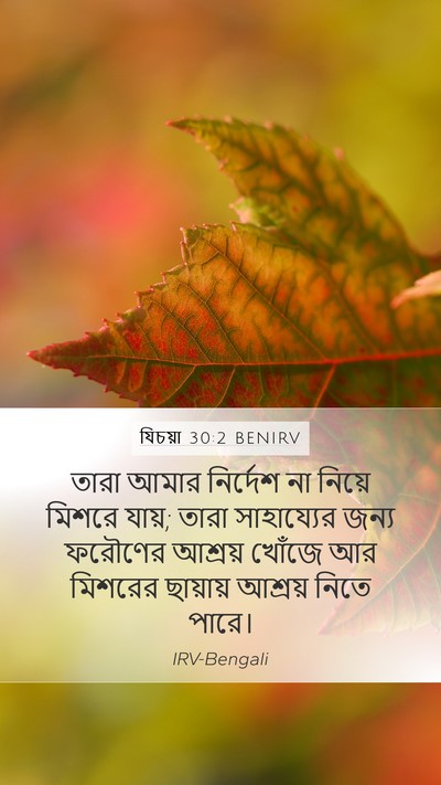 যিচয়া 30:2 BENIRV Bible Verse Image