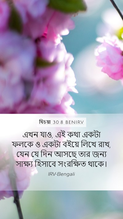 যিচয়া 30:8 BENIRV Bible Verse Image
