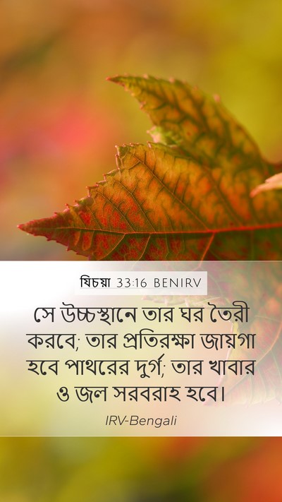 যিচয়া 33:16 BENIRV Bible Verse Image