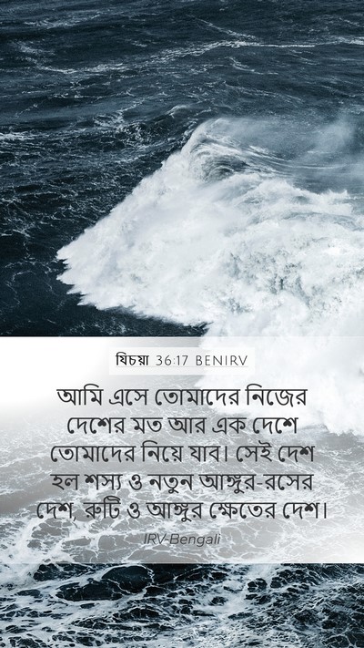 যিচয়া 36:17 BENIRV Mobile Phone Wallpaper - আমি এসে তোমাদের - Mobile Bible Verse Wallpaper