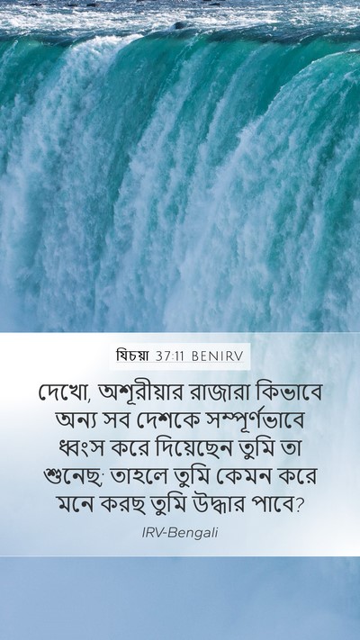 যিচয়া 37:11 BENIRV Bible Verse Image