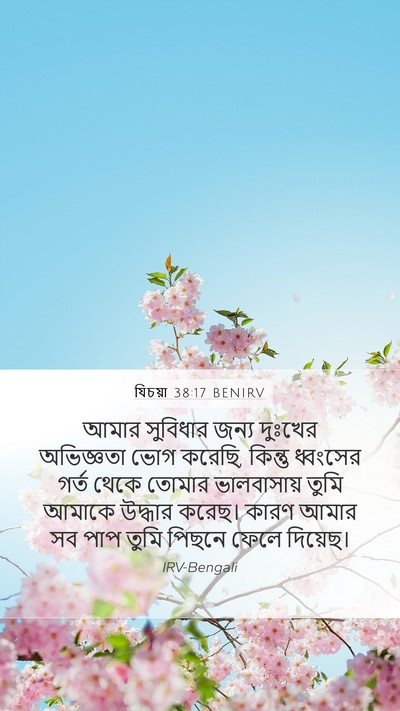 যিচয়া 38:17 BENIRV Bible Verse Image