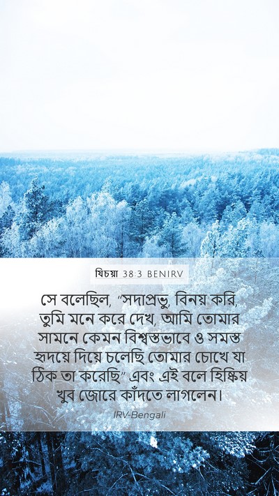 যিচয়া 38:3 BENIRV Bible Verse Image