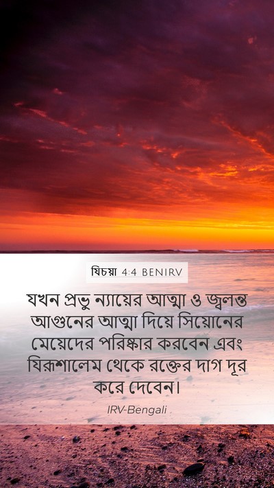 যিচয়া 4:4 BENIRV Bible Verse Image