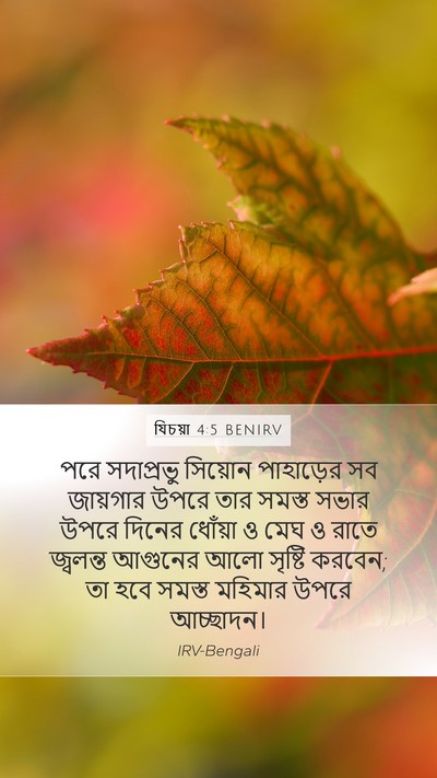 যিচয়া 4:5 BENIRV Bible Verse Image