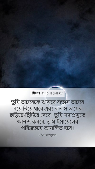 যিচয়া 41:16 BENIRV Mobile Phone Wallpaper - তুমি তাদেরকে - Mobile Bible Verse Wallpaper