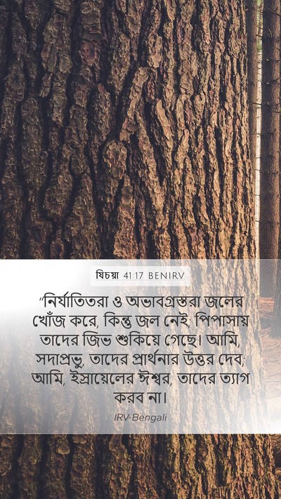 যিচয়া 41:17 BENIRV Bible Verse Image
