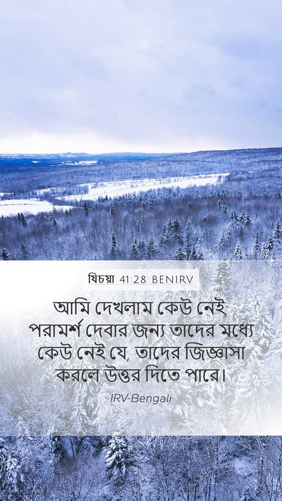 যিচয়া 41:28 BENIRV Bible Verse Image