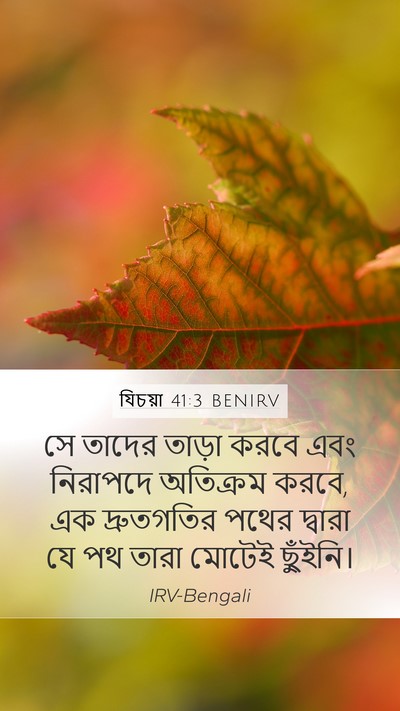 যিচয়া 41:3 BENIRV Mobile Phone Wallpaper - সে তাদের তাড়া - Mobile Bible Verse Wallpaper