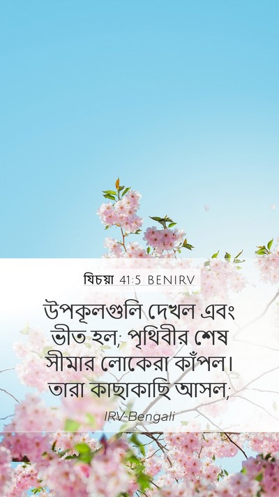 যিচয়া 41:5 BENIRV Bible Verse Image