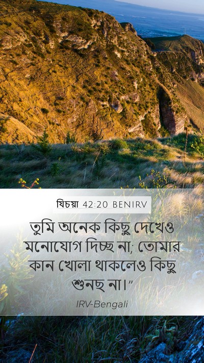 যিচয়া 42:20 BENIRV Mobile Phone Wallpaper - তুমি অনেক কিছু - Mobile Bible Verse Wallpaper