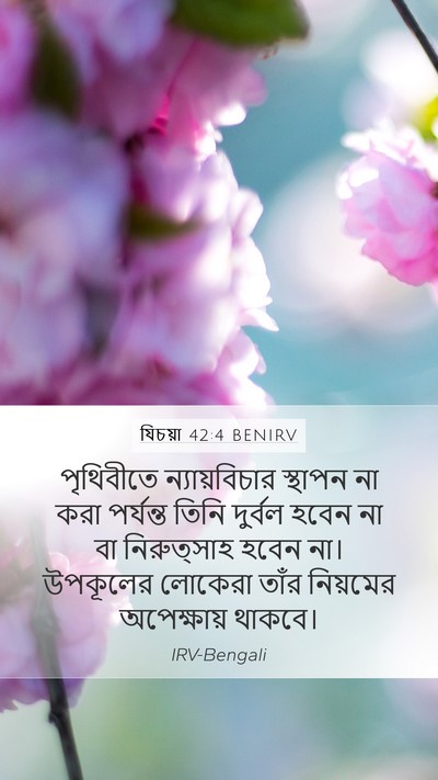 যিচয়া 42:4 BENIRV Bible Verse Image