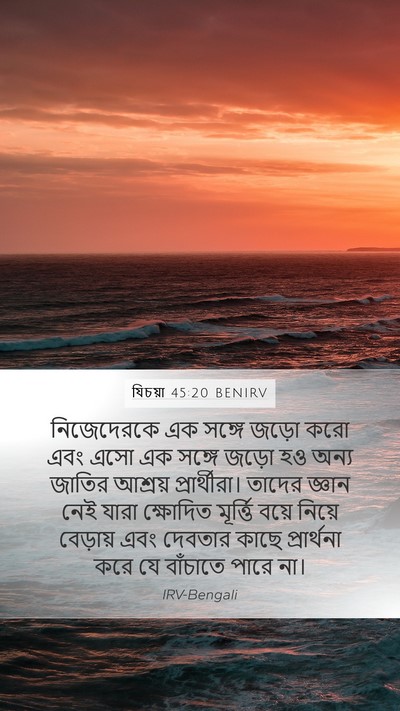 যিচয়া 45:20 BENIRV Bible Verse Image