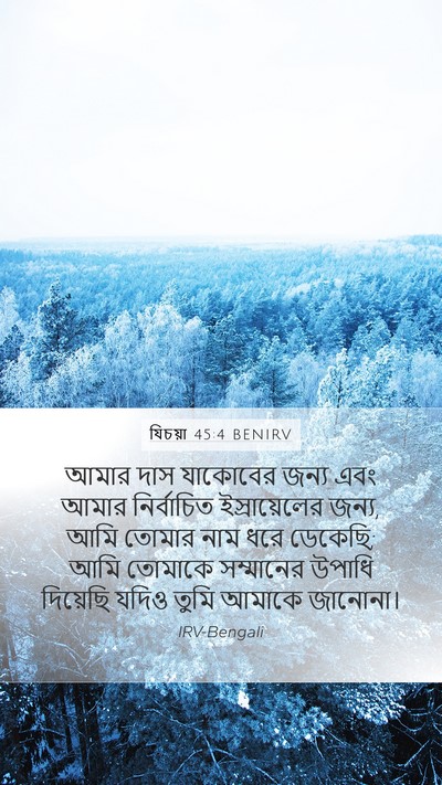 যিচয়া 45:4 BENIRV Bible Verse Image