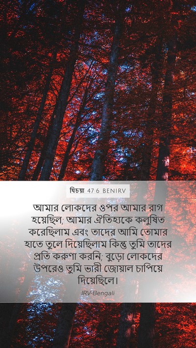 যিচয়া 47:6 BENIRV Bible Verse Image