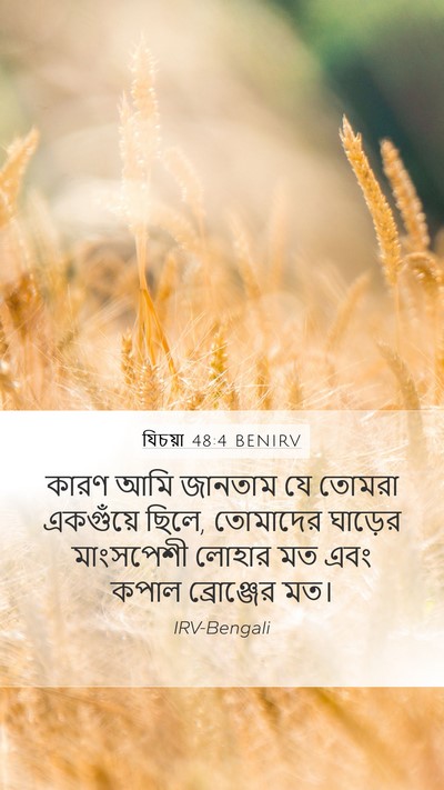 যিচয়া 48:4 BENIRV Bible Verse Image