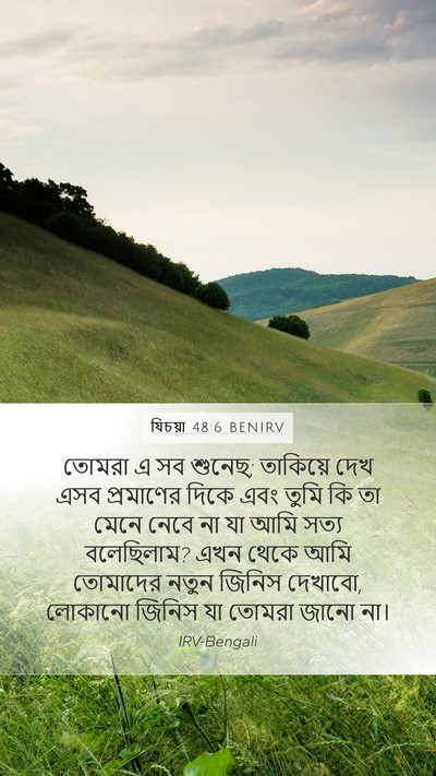 যিচয়া 48:6 BENIRV Bible Verse Image
