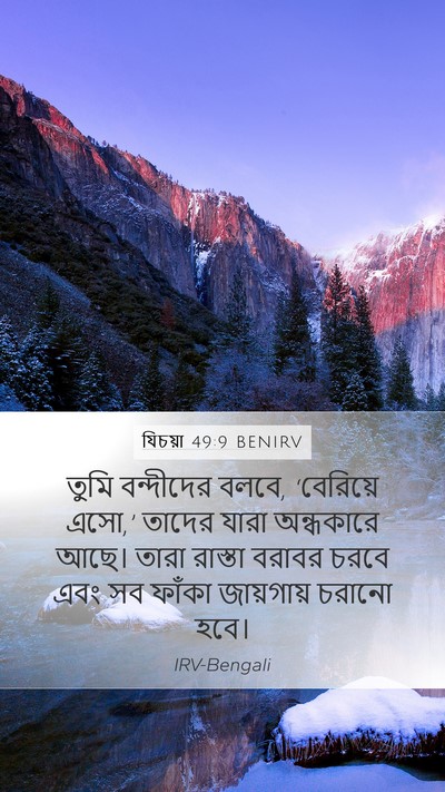 যিচয়া 49:9 BENIRV Bible Verse Image