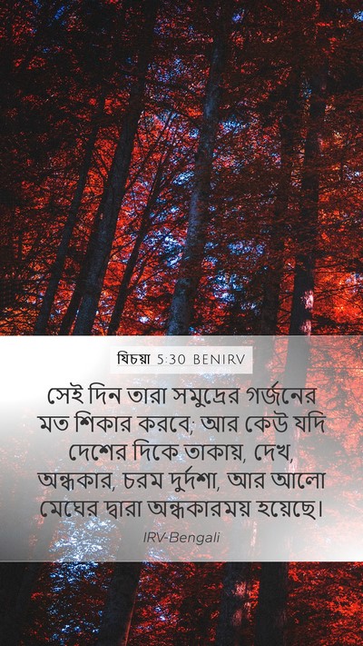 যিচয়া 5:30 BENIRV Bible Verse Image