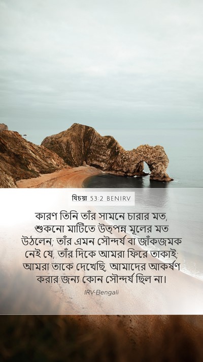 যিচয়া 53:2 BENIRV Bible Verse Image