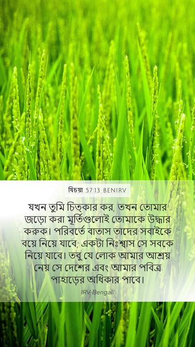 যিচয়া 57:13 BENIRV Mobile Phone Wallpaper - যখন তুমি চিত্কার - Mobile Bible Verse Wallpaper