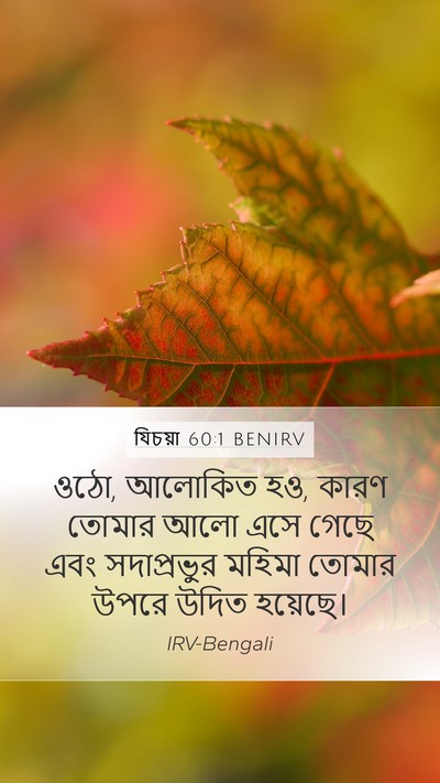 যিচয়া 60:1 BENIRV Bible Verse Image