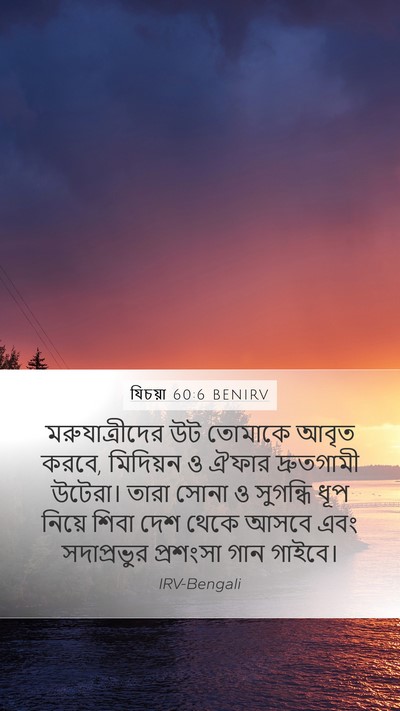 যিচয়া 60:6 BENIRV Bible Verse Image
