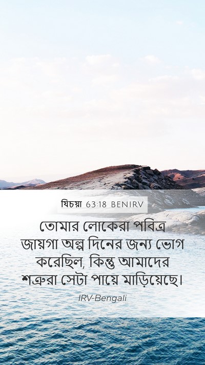 যিচয়া 63:18 BENIRV Bible Verse Image