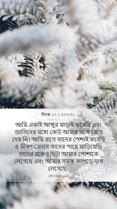 যিচয়া 63:3 BENIRV Bible Verse Image