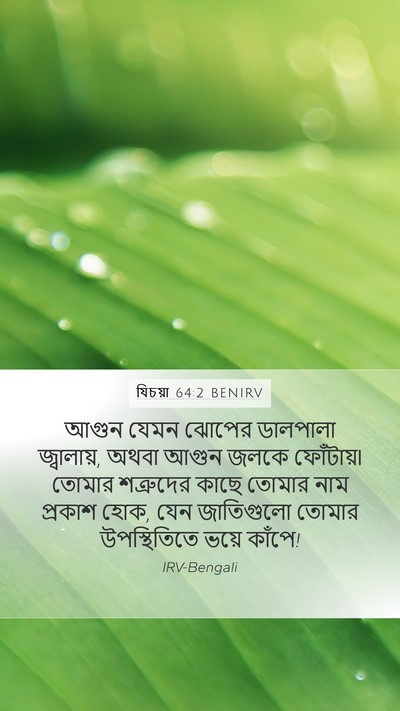 যিচয়া 64:2 BENIRV Bible Verse Image