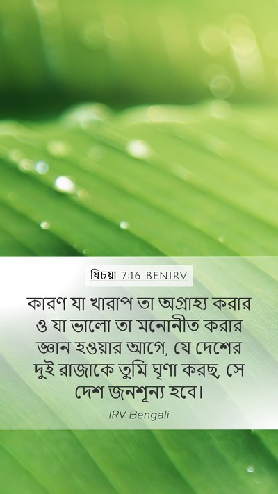 যিচয়া 7:16 BENIRV Bible Verse Image