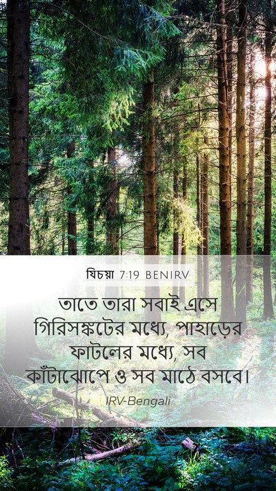 যিচয়া 7:19 BENIRV Mobile Phone Wallpaper - তাতে তারা সবাই এসে - Mobile Bible Verse Wallpaper