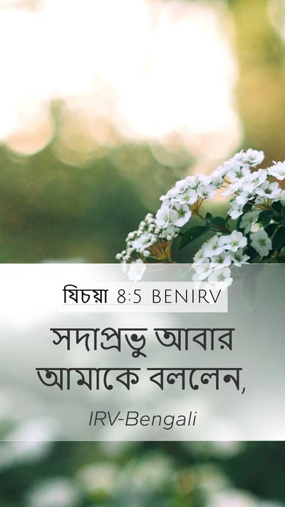 যিচয়া 8:5 BENIRV Bible Verse Image