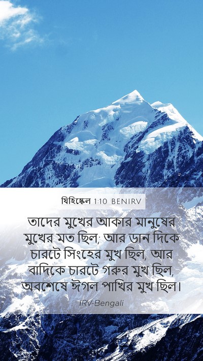 যিহিষ্কেল 1:10 BENIRV Bible Verse Image