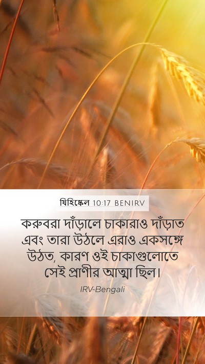 যিহিষ্কেল 10:17 BENIRV Bible Verse Image