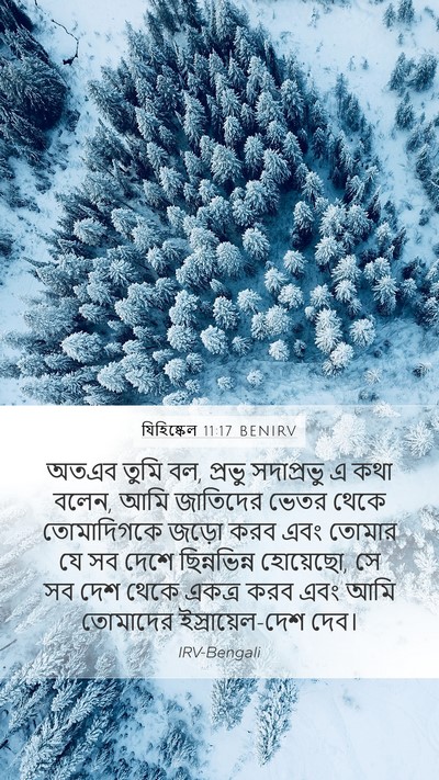 যিহিষ্কেল 11:17 BENIRV Bible Verse Image