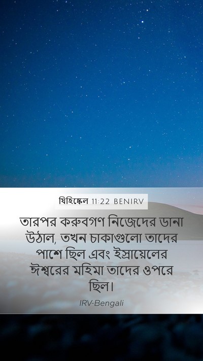 যিহিষ্কেল 11:22 BENIRV Bible Verse Image