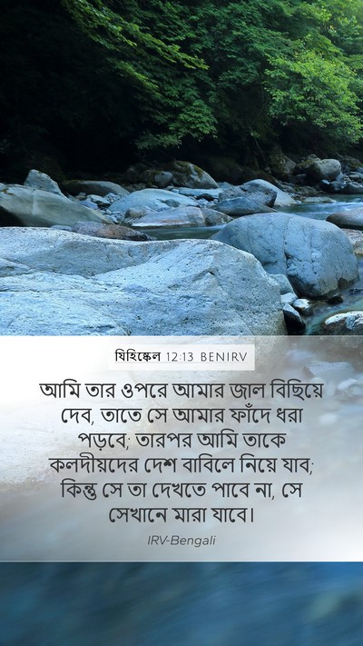 যিহিষ্কেল 12:13 BENIRV Bible Verse Image