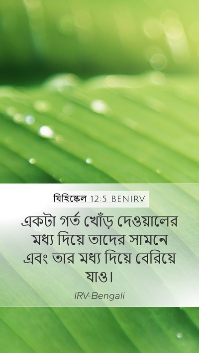 যিহিষ্কেল 12:5 BENIRV Bible Verse Image