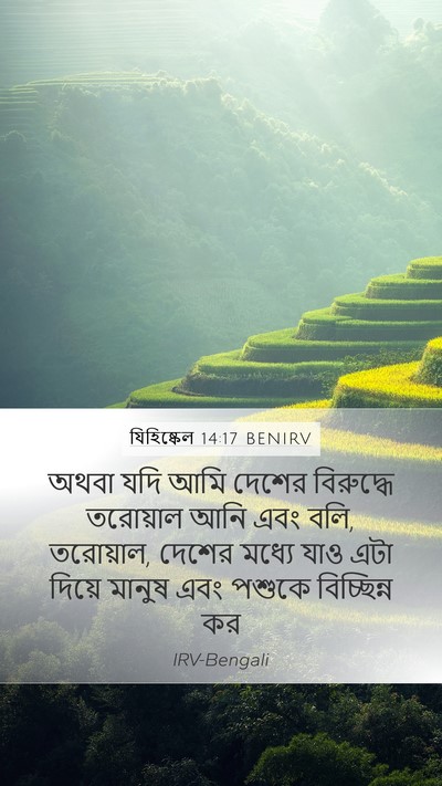 যিহিষ্কেল 14:17 BENIRV Bible Verse Image