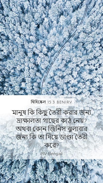 যিহিষ্কেল 15:3 BENIRV Bible Verse Image