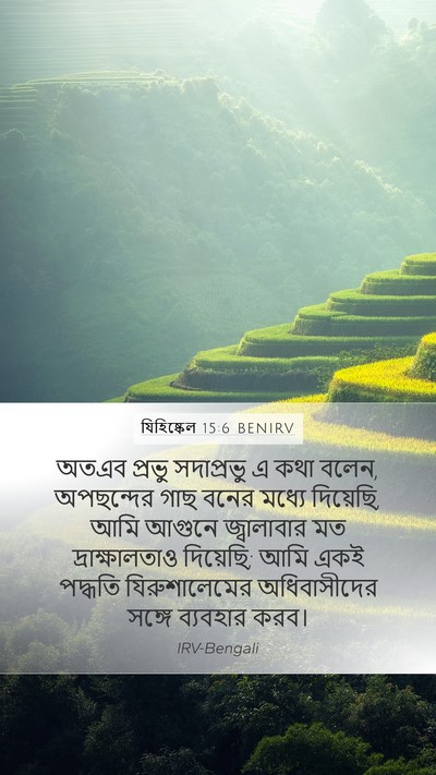 যিহিষ্কেল 15:6 BENIRV Bible Verse Image