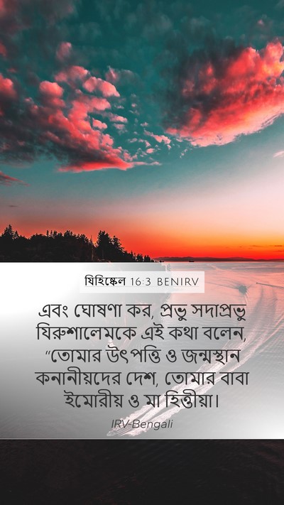যিহিষ্কেল 16:3 BENIRV Mobile Phone Wallpaper - এবং ঘোষণা কর, প্রভু - Mobile Bible Verse Wallpaper