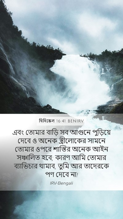 যিহিষ্কেল 16:41 BENIRV Bible Verse Image