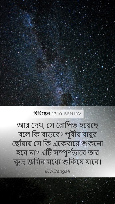 যিহিষ্কেল 17:10 BENIRV Bible Verse Image